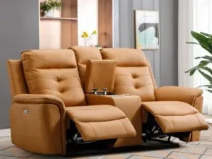recliner (30)