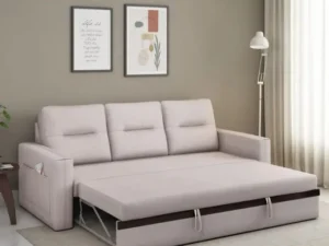 sofa cum bed (4)