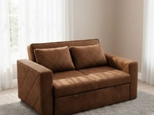 two seater sofa cum bed