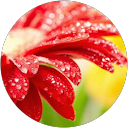 A.SURESH NELSON CHRISTUDHAS profile picture