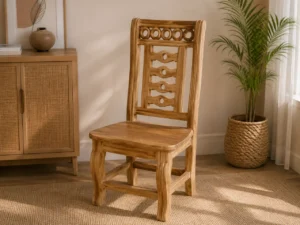 dining chairs (22)