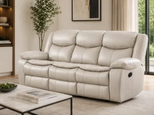 recliner (19)