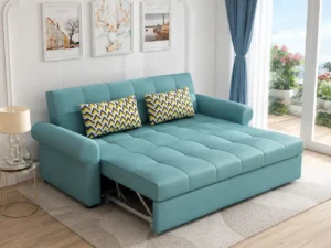 sofa cum bed 1