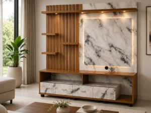 tv unit 1